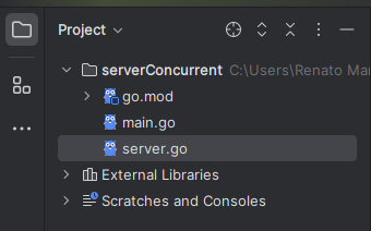 File structure in the directory
